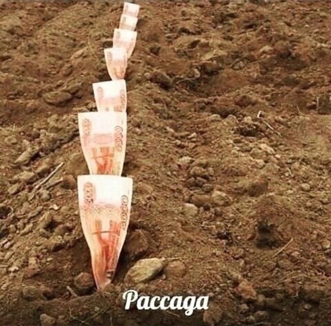 Paccaga