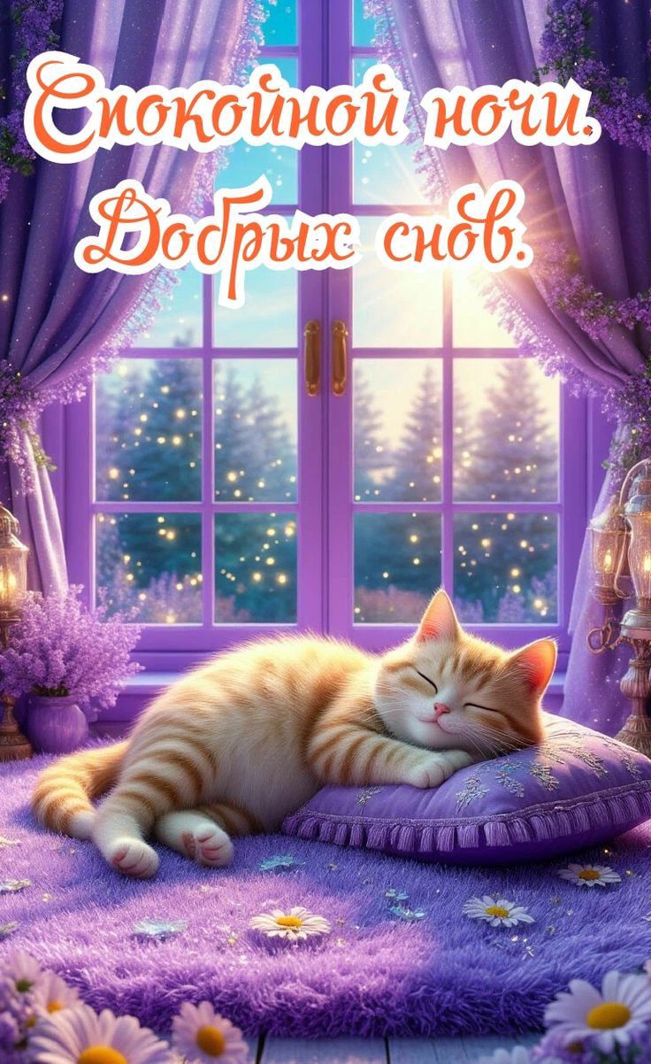 Спокойной ночи. Добрых снов.