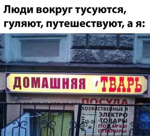 Люди вокруг тусуются, гуляют, путешествуют, а я:

ДОМАШНЯЯ ТВАРЬ

ПОСУДА

ХОЗЯЙСТВЕННЫЕ ЭЛЕКТРО ТОВАРЫ