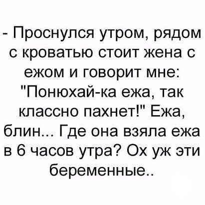 - Проснулся утром, рядом с кроватью стоит жена с ежом и говорит мне: 
