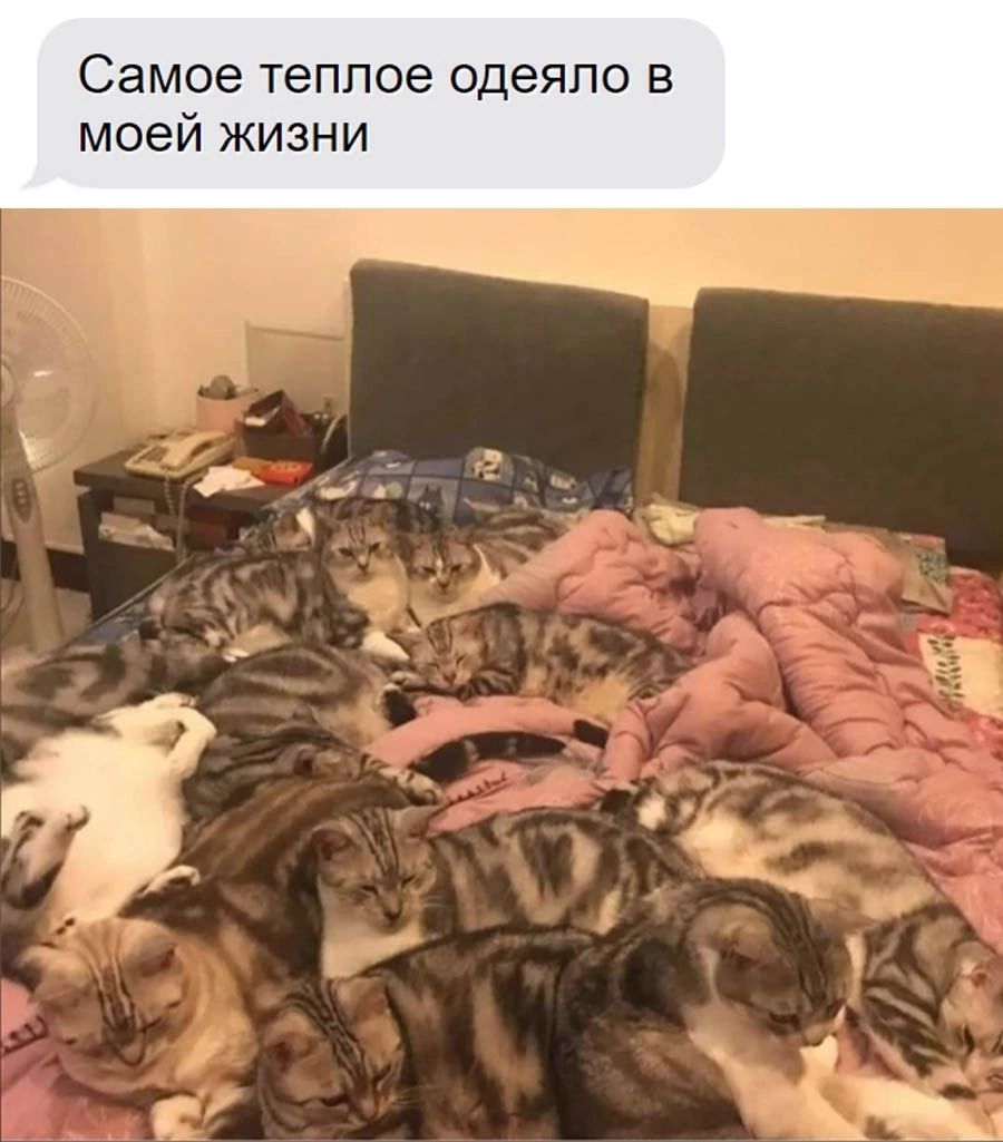 Самое теплое одеяло в моей жизни