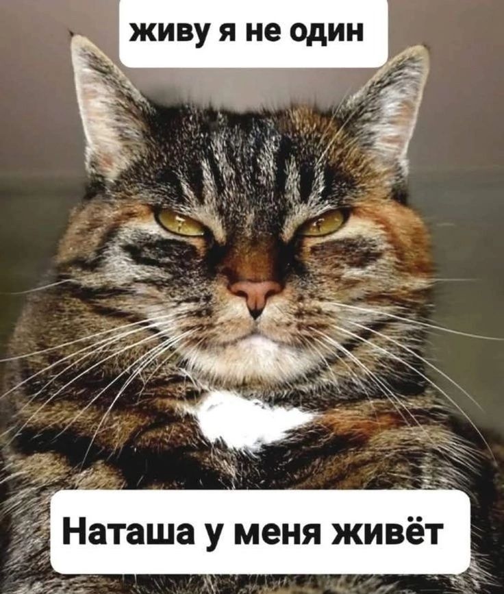 живу я не один
Наташа у меня живёт