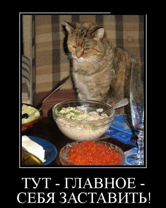 ТУТ - ГЛАВНОЕ - СЕБЯ ЗАСТАВИТЬ!