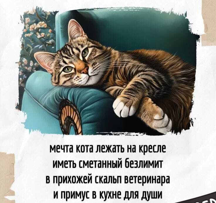 мечта кота лежать на кресле иметь сметанный безлимит в прихожей скальп ветеринара и примус в кухне для души