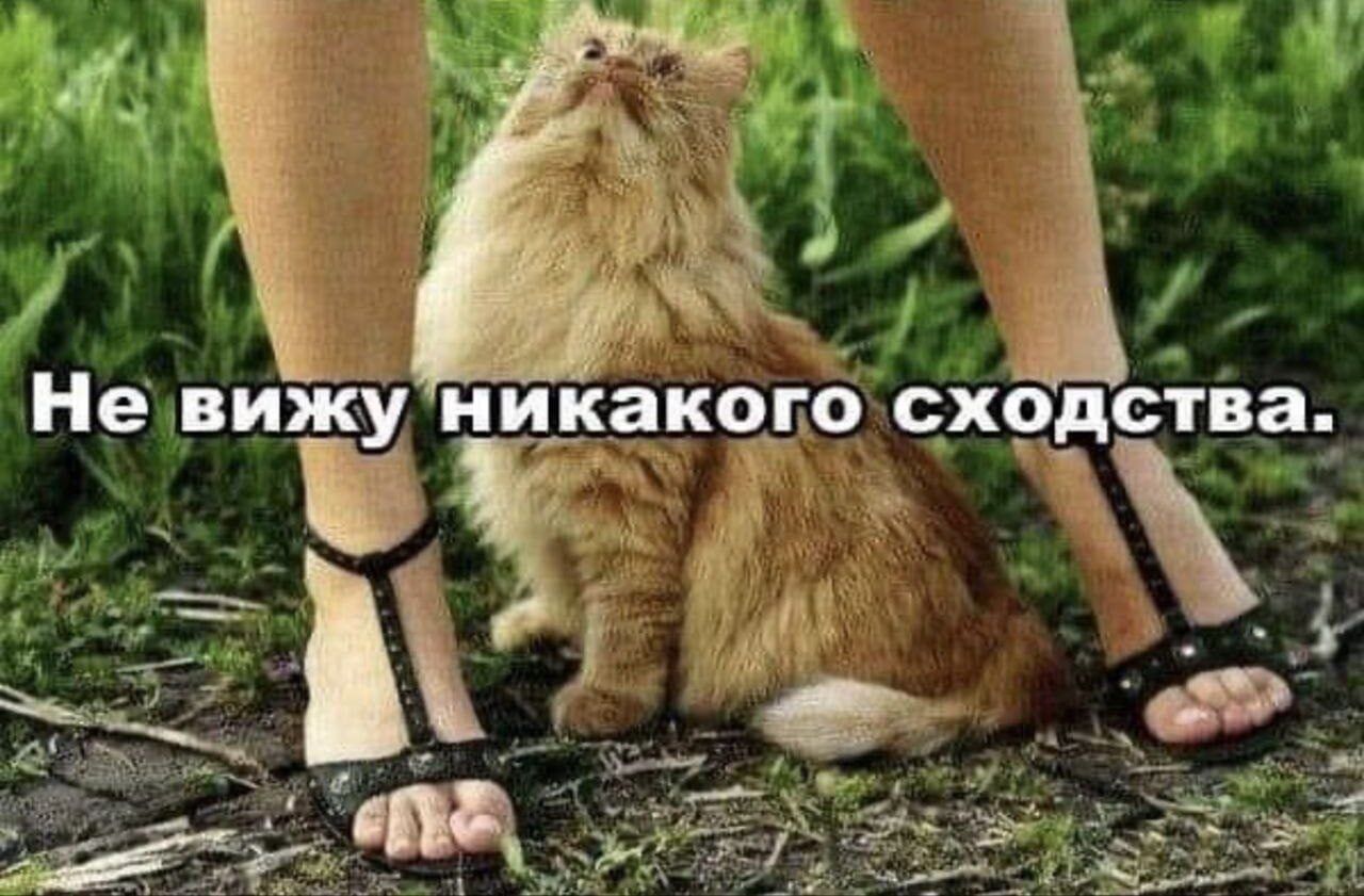 Не вижу никакого сходства.