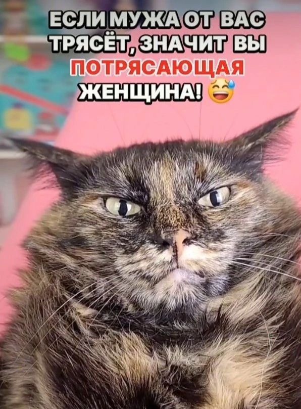 ЕСЛИ МУЖА ОТ ВАС ТРЯСЁТ, ЗНАЧИТ ВЫ ПОТРЯСАЮЩАЯ ЖЕНЩИНА! 😄