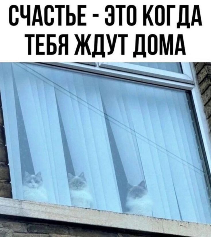 СЧАСТЬЕ - ЭТО КОГДА ТЕБЯ ЖДУТ ДОМ