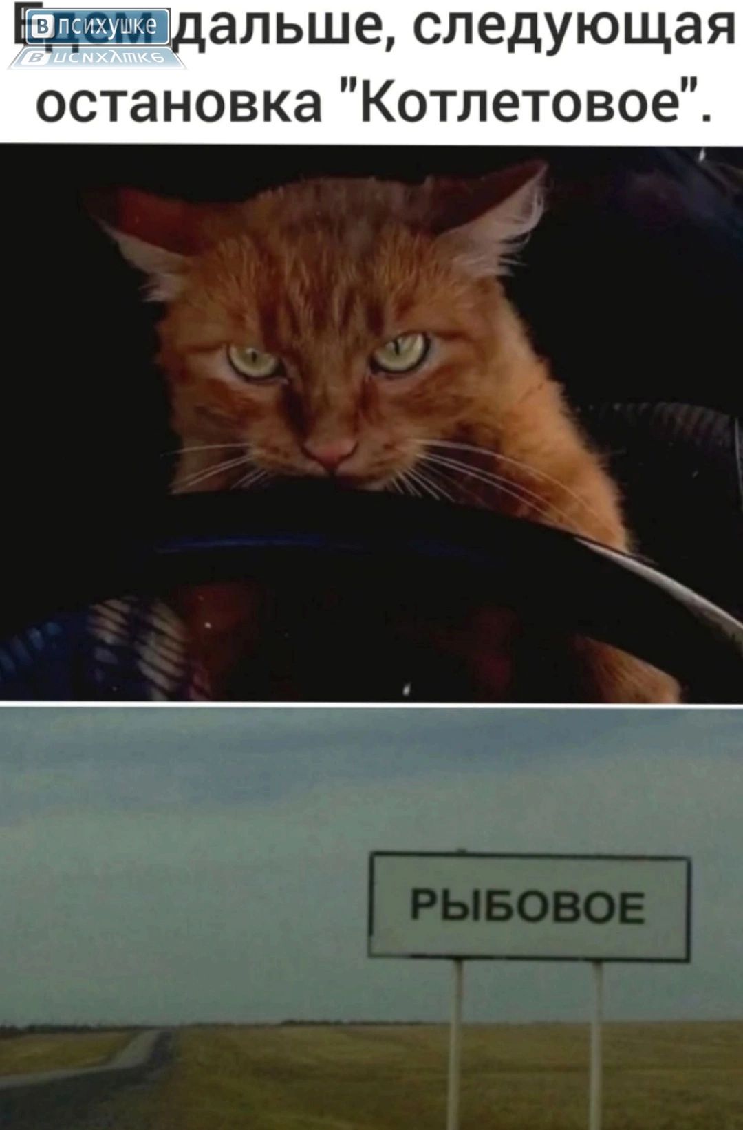 Дальше, следующая остановка 