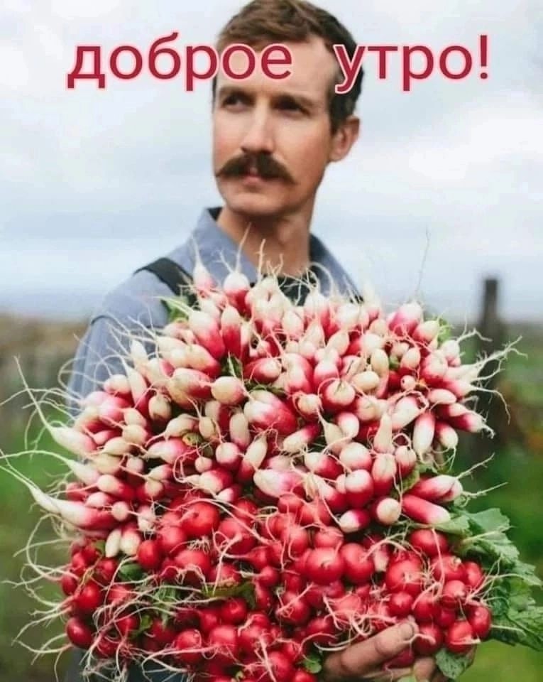 доброе утро!