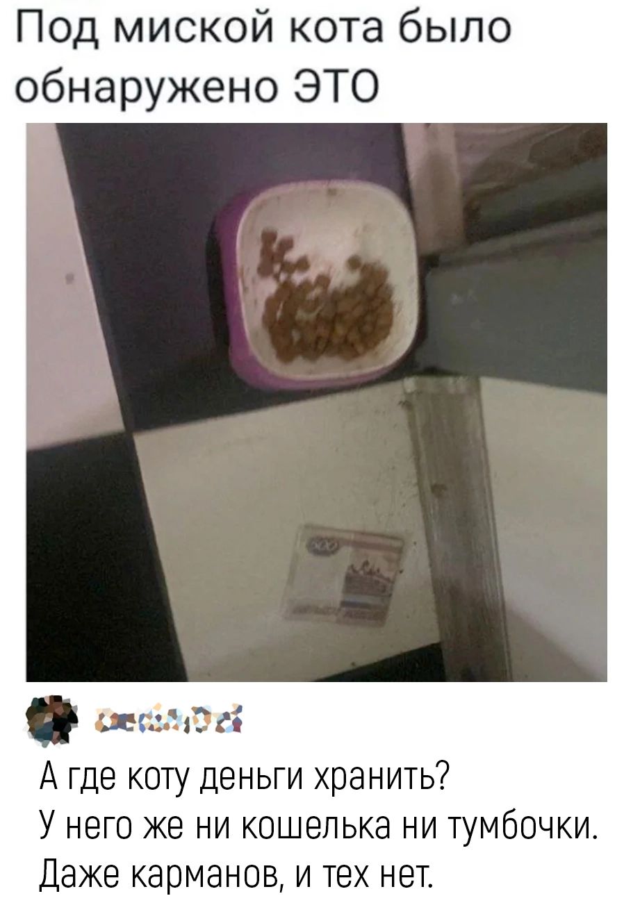 Под миской кота было обнаружено ЭТО
А где коту деньги хранить? У него же ни кошелька ни тумбочки. Даже карманов, и тех нет.