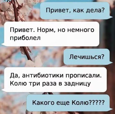 Привет, как дела?
Привет. Норм, но немного приболел
Лечишься?
Да, антибиотики прописали. Колю три раза в задницу
Какого еще Колю??????