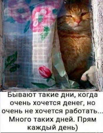 Бывают такие дни, когда очень хочется денег, но очень не хочется работать... Много таких дней. Прям каждый день)