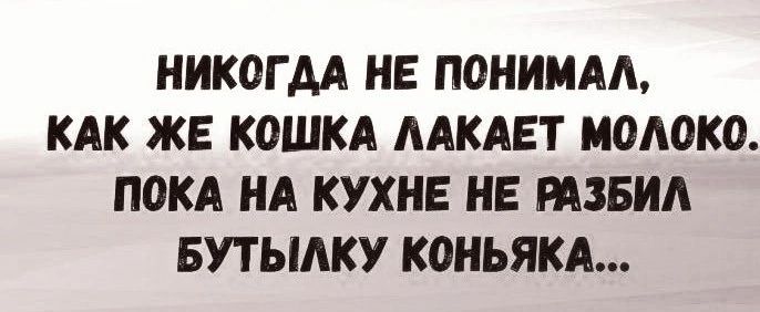 НИКГДА НЕ ПОНИМАЛ, КАК ЖЕ КОШКА ЛАКАЕТ МОЛОКО. ПОКА НА КУХНЕ НЕ РАЗБИЛ БУТЫЛКУ КОНЬЯКА...
