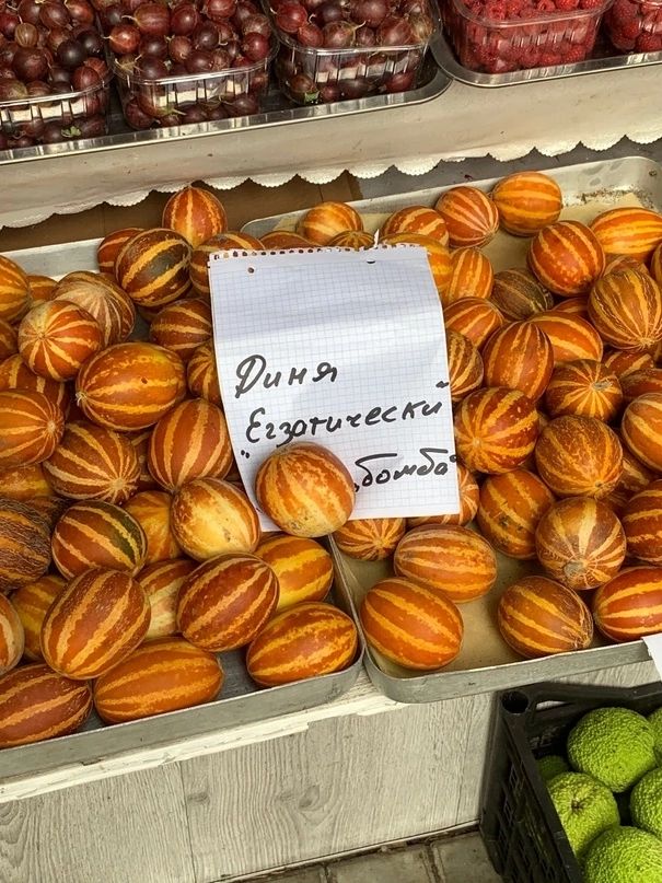 Дыня Египетский бомба
