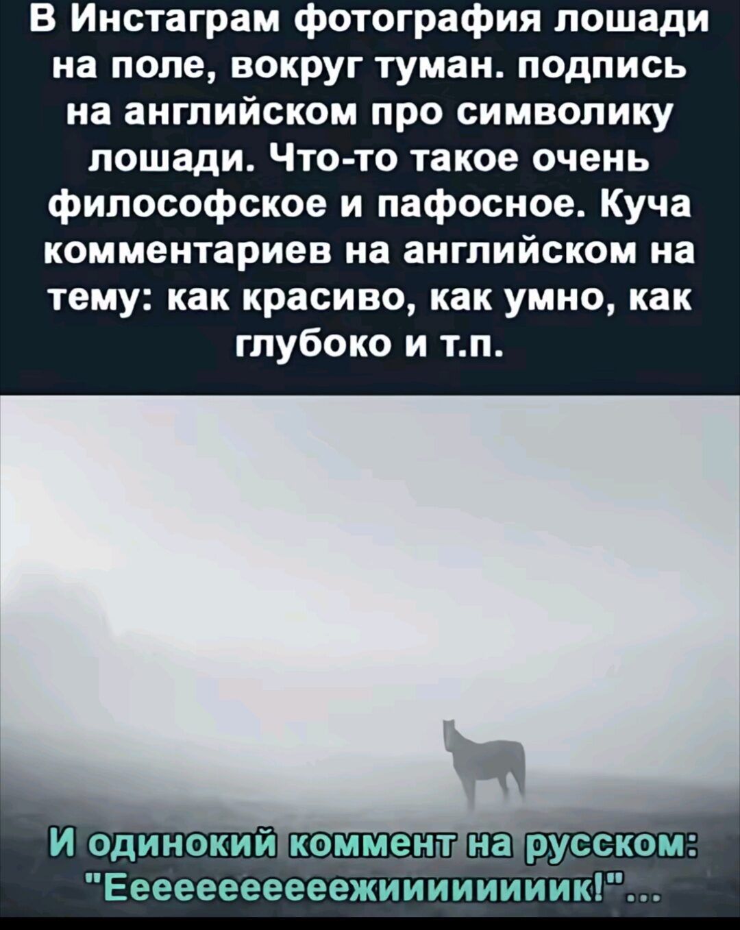 В Инстаграм фотография лошади на поле, вокруг туман. подпись на английском про символику лошади. Что-то такое очень философское и пафосное. Куча комментариев на английском на тему: как красиво, как умно, как глубоко и т.п.

И одинокий комментарий на русском: 