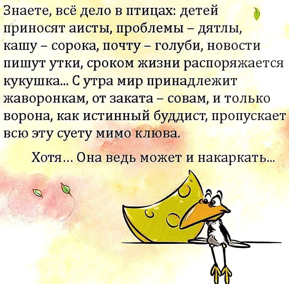Знаете, всё дело в птицах: детей приносят аисты, проблемы – дятлы, кашу – сорока, почту – голуби, новости пишут утки, сроком жизни распоряжается кукушка... С утра мир принадлежит жаворонкам, от заката – совам, и только ворона, как истинный буддист, пропускает всю эту суету мимо клюва.

Хотя... Она ведь может и накаркать...