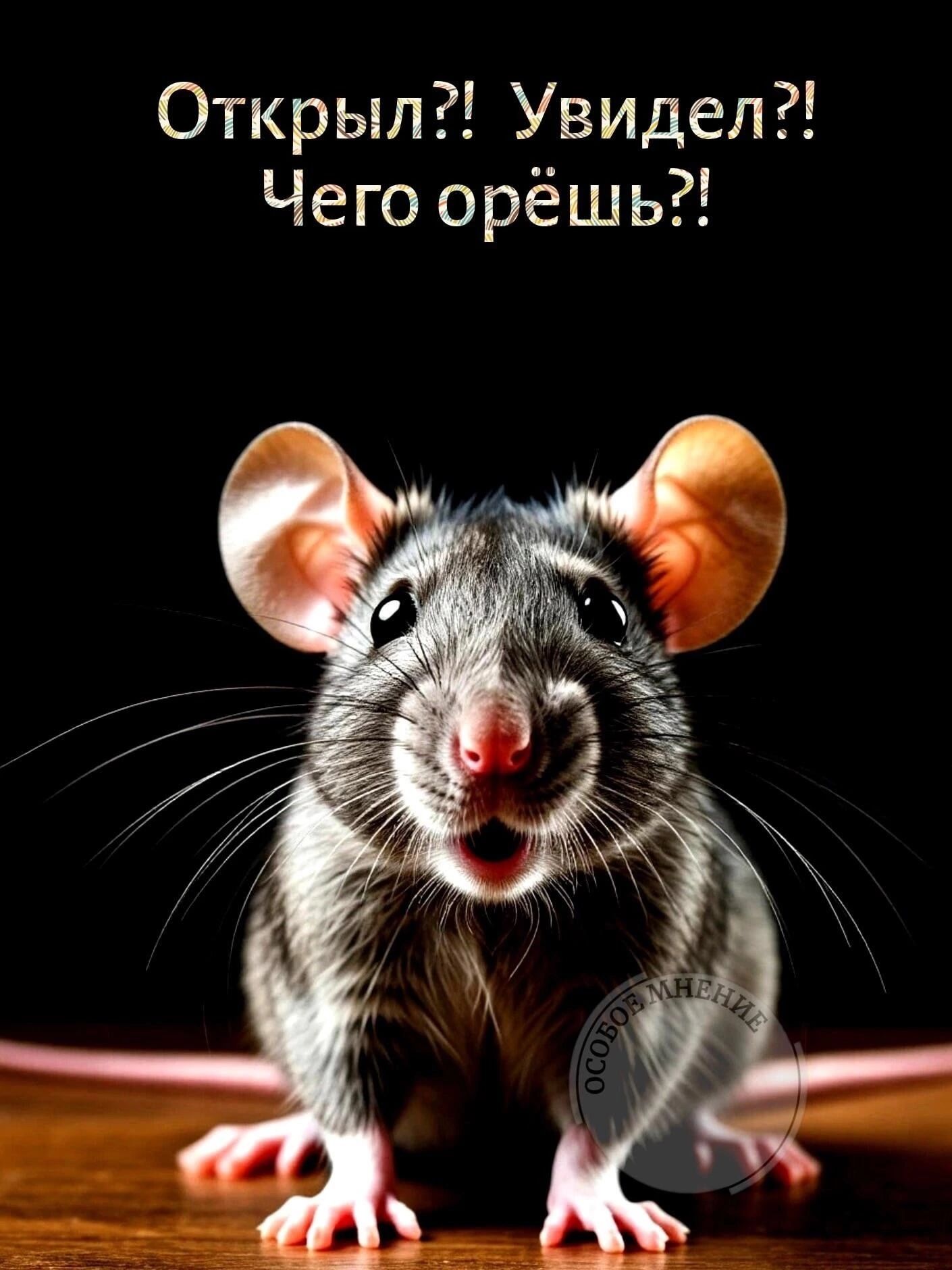 Открыл?! Увидел?! Чего орёшь?!