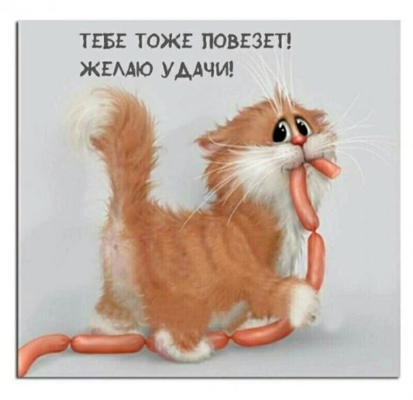 ТЕБЕ ТОЖЕ ПОВЕЗЕТ! ЖЕЛАЮ УДАЧИ!