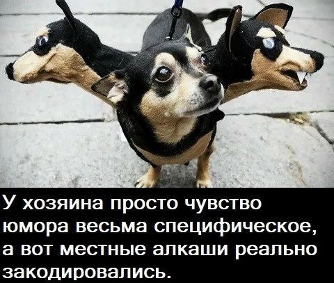 У хозяина просто чувство юмора весьма специфическое, а вот местные алкаши реально закодировались.