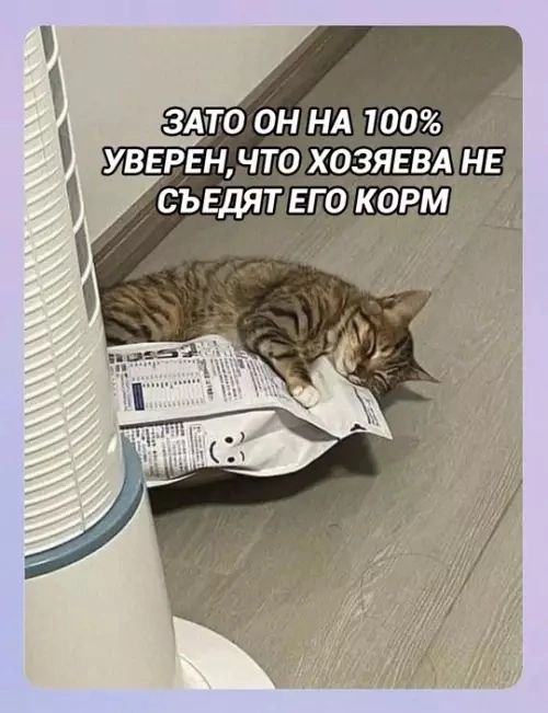 ЗАТО ОН НА 100% УВЕРЕН, ЧТО ХОЗЯЕВА НЕ СЪЕДЯТ ЕГО КОРМ