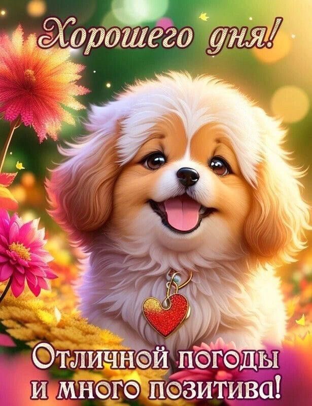 Хорошего дня! Отличной погоды и много позитива!
