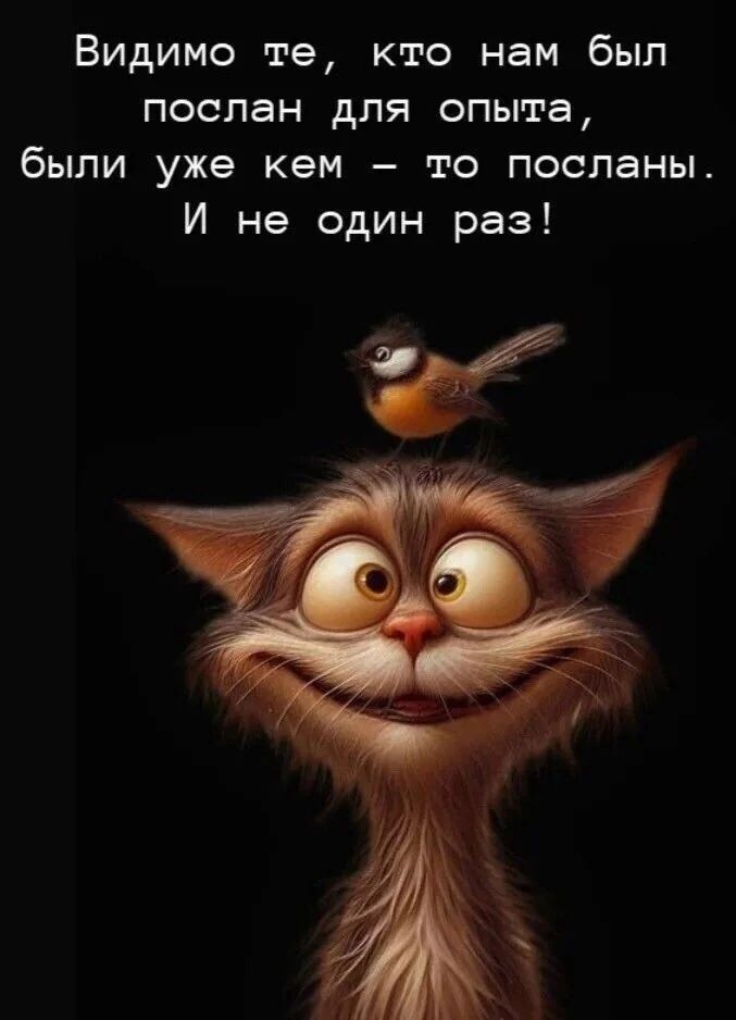Видимо те, кто нам был послан для опыта, были уже кем – то посланы. И не один раз!