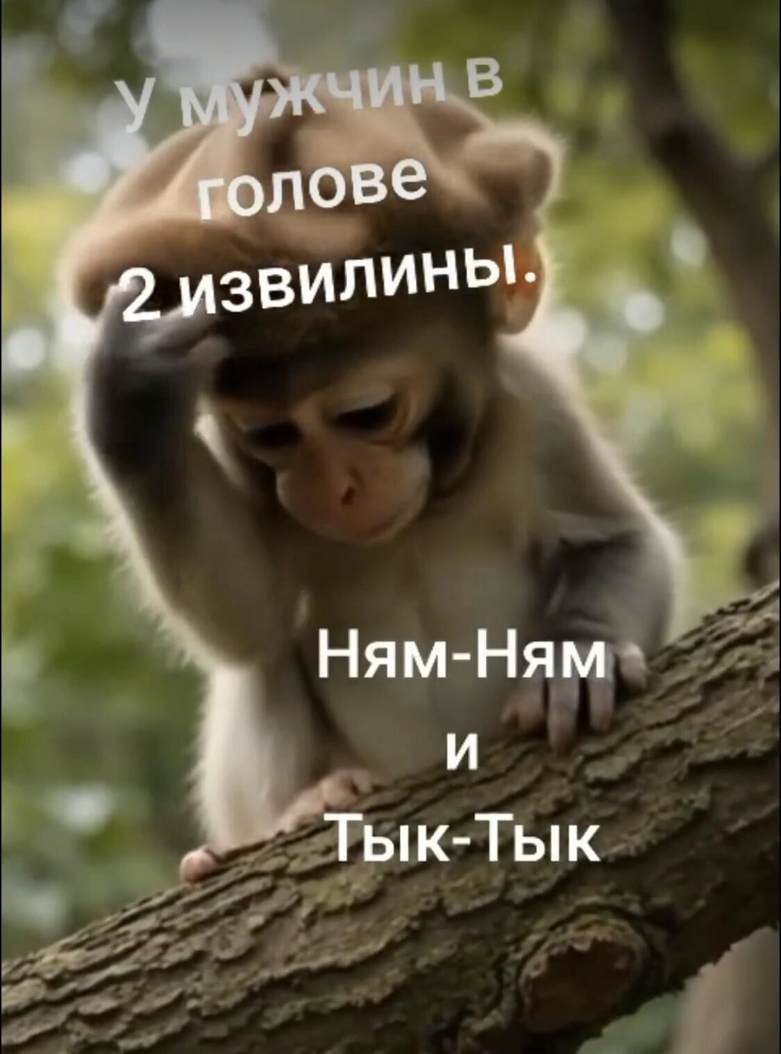 У мужчин в голове 2 извилины.
Ням-Ням и Тык-Тык