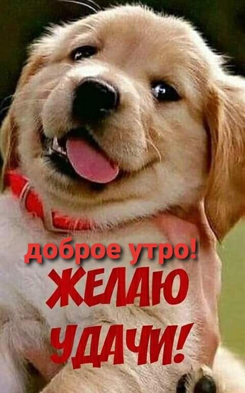 доброе утро! ЖЕЛАЮ УДАЧИ!