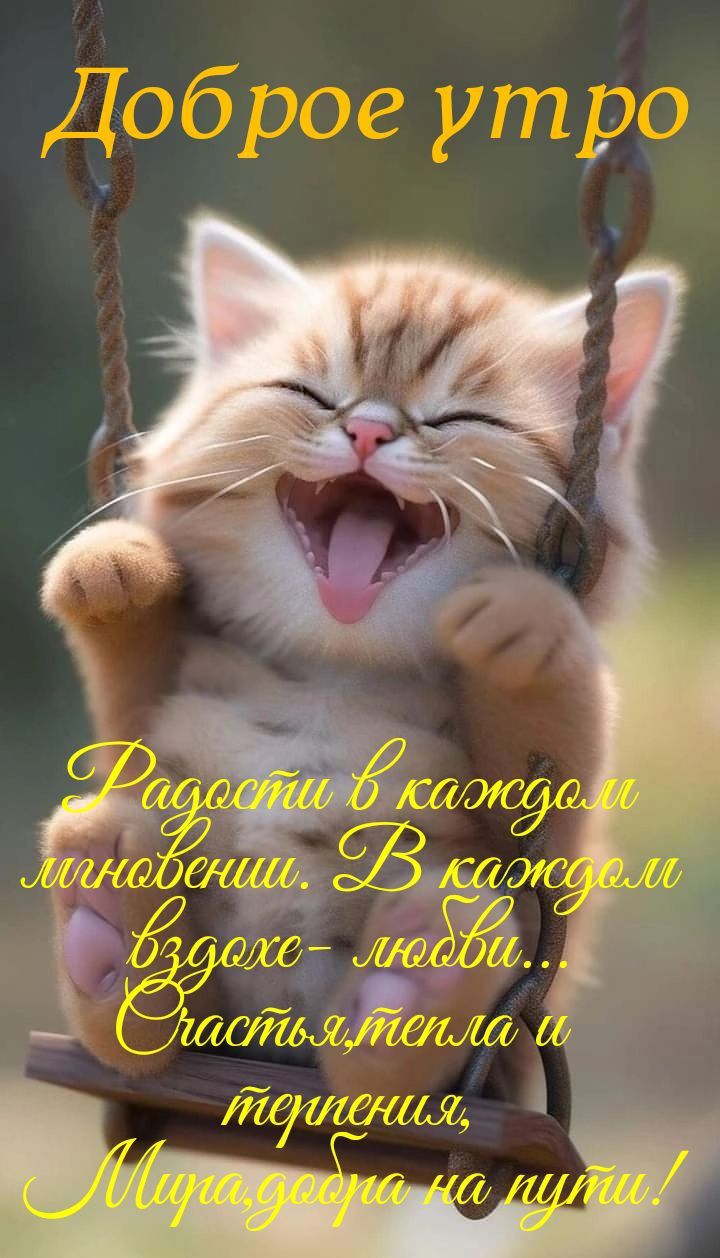 Доброе утро
Радости в каждом мгновении. В каждом вздохе - любви... Счастья, тепла и терпения, Мира, добра на пути!