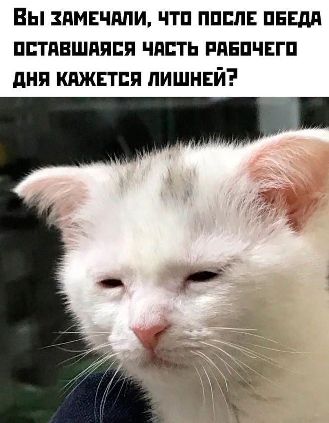 Вы замечали, что после обеда оставшаяся часть рабочего дня кажется лишней?