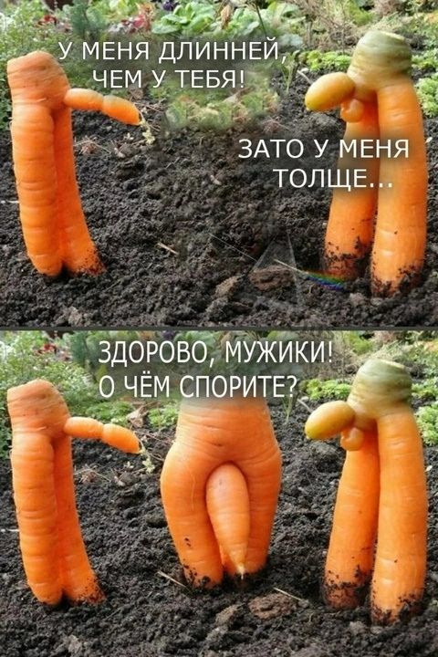 У МЕНЯ ДЛИННЕЙ, ЧЕМ У ТЕБЯ! ЗАТО У МЕНЯ ТОЛЩЕ... ЗДОРОВО, МУЖИКИ! О ЧЁМ СПОРИТЕ?