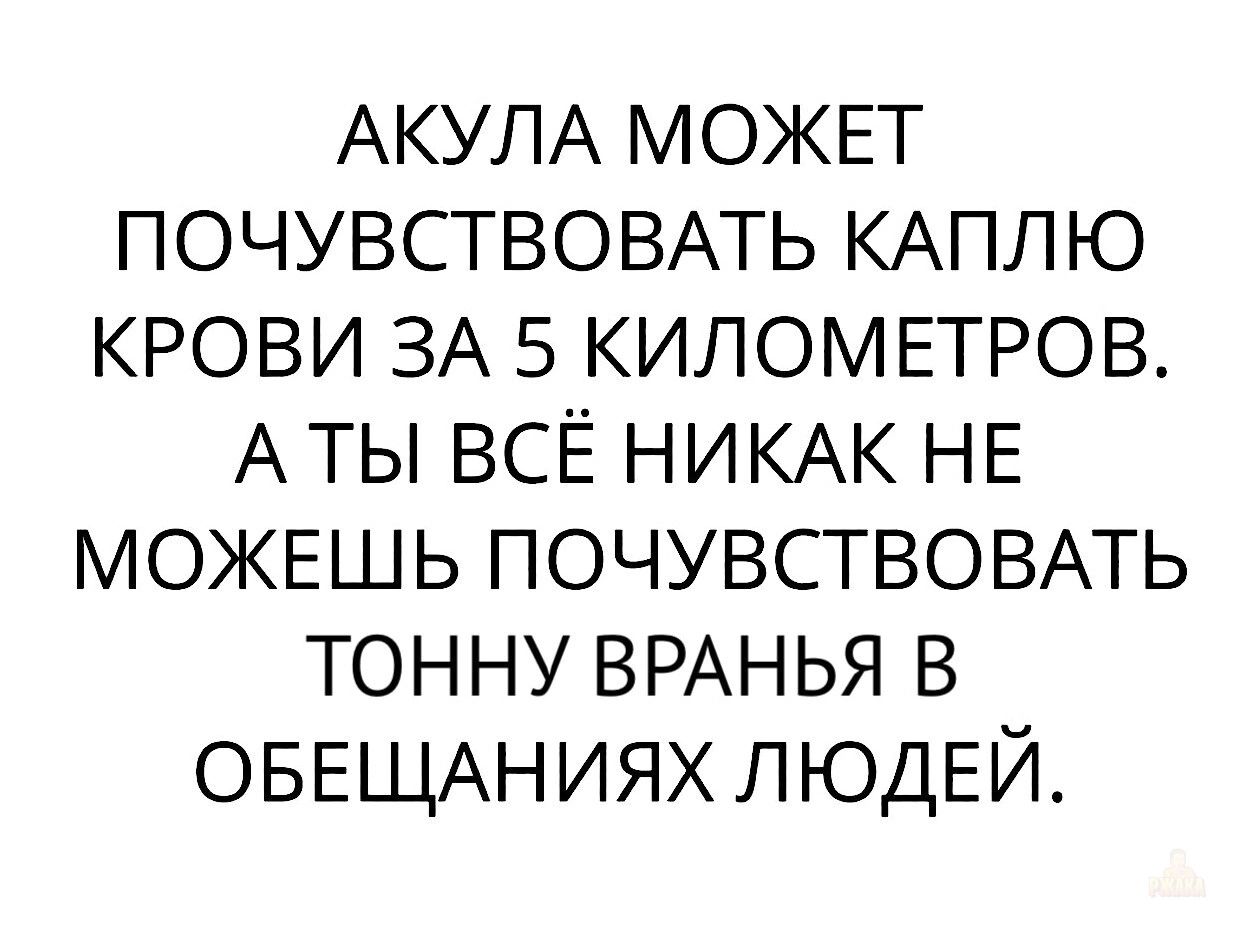 АКУЛА МОЖЕТ ПОЧУВСТВОВАТЬ КАПЛЮ КРОВИ ЗА 5 КИЛОМЕТРОВ. А ТЫ ВСЁ НИКАК НЕ МОЖЕШЬ ПОЧУВСТВОВАТЬ ТОННУ ВРАНЬЯ В ОБЕЩАНИЯХ ЛЮДЕЙ.