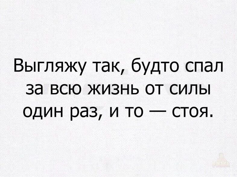 Выгляжу так, будто спал за всю жизнь от силы один раз, и то — стоя.