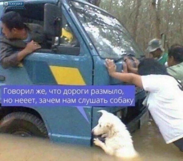 Говорил же, что дороги размыло, но нет, зачем нам слушать собаку