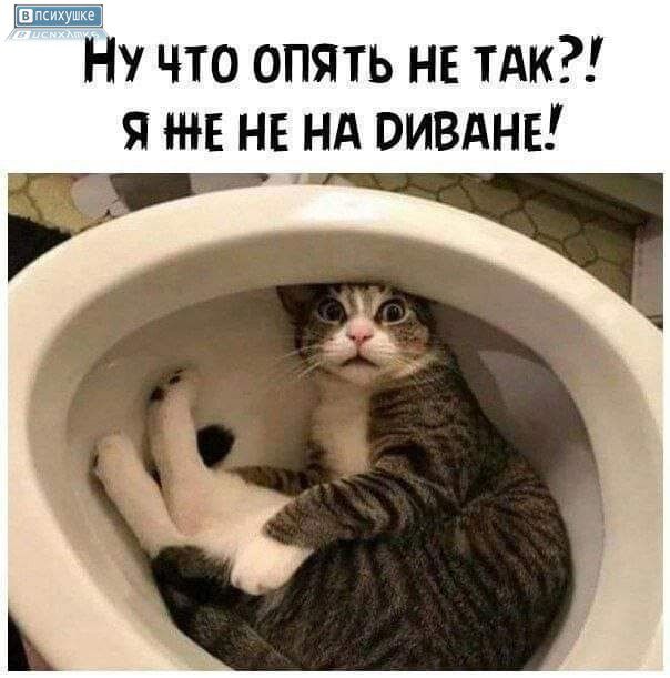 Ну что опять не так?! Я же не на диване!