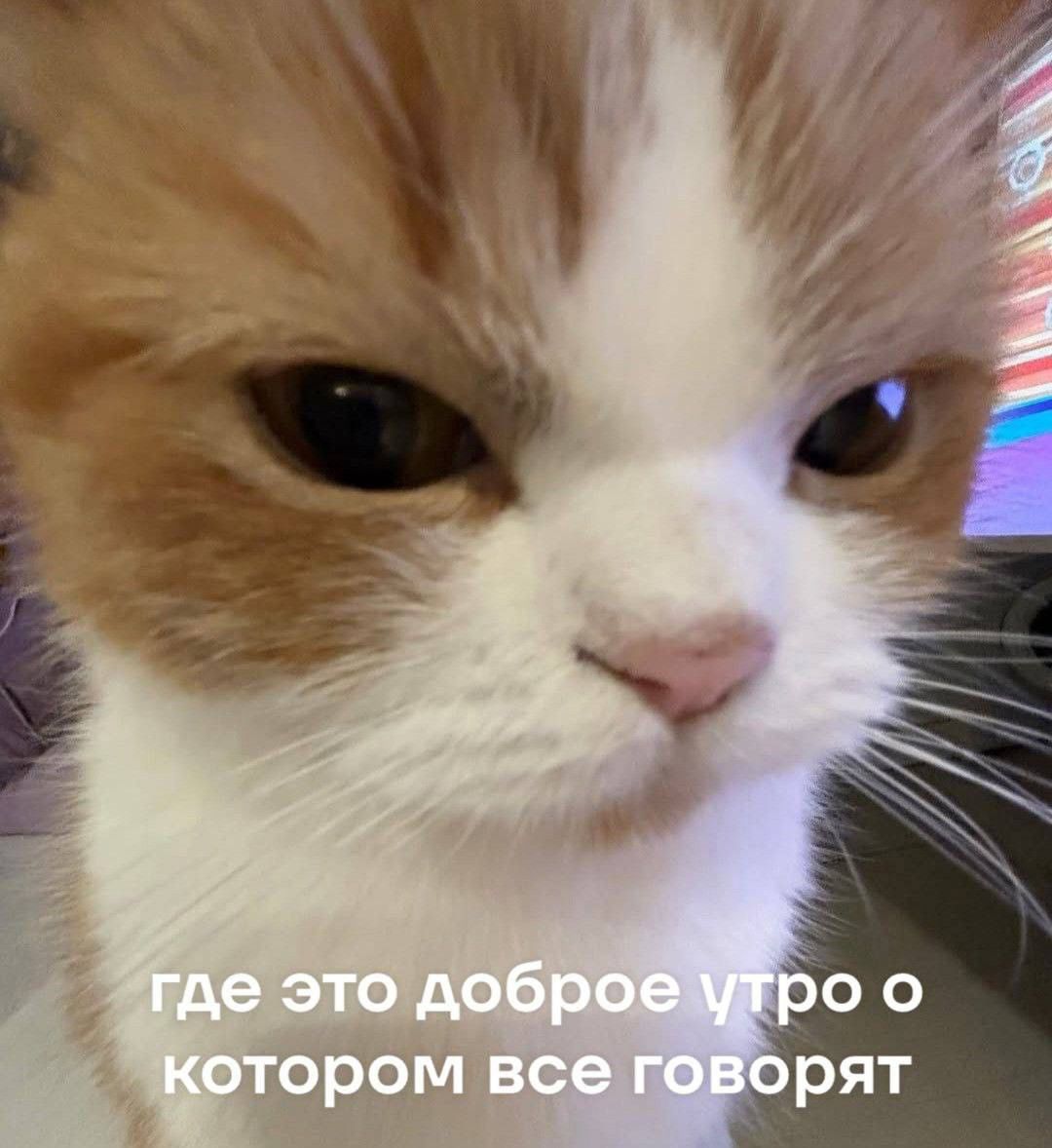 где это доброе утро о котором все говорят