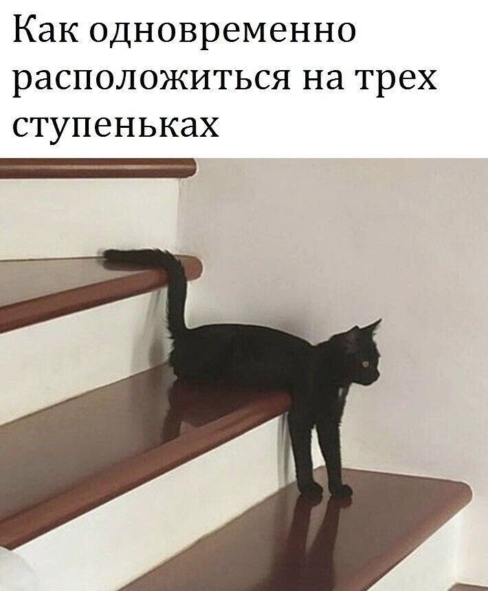 Как одновременно расположиться на трех ступеньках