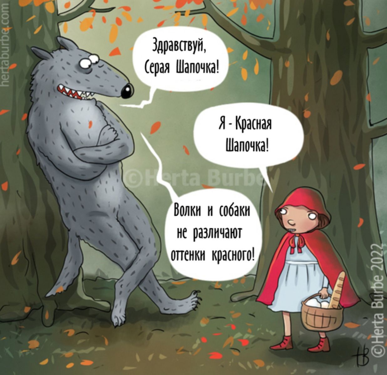 Здравствуйте, Серая Шапочка! Я - Красная Шапочка! Волки и собаки не различают оттенки красного!