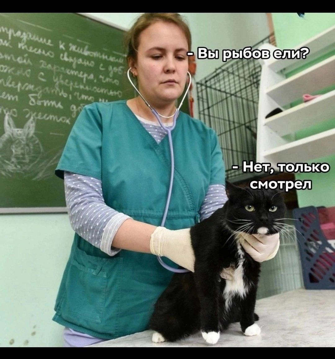 Вы рыбов ели? Нет, только смотрел.