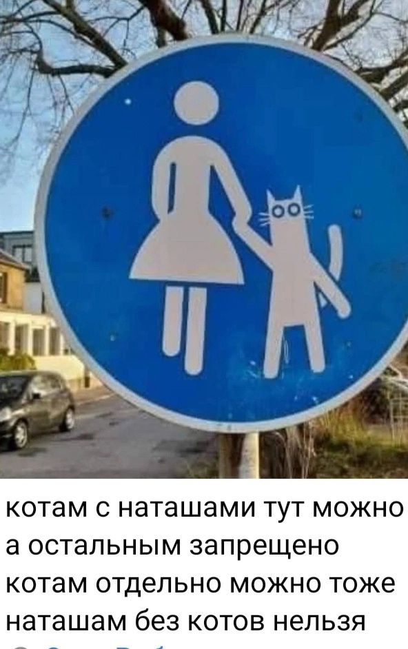 котам с ната́шами тут можно а остальным запрещено котам отдельно можно тоже ната́шам без котов нельзя