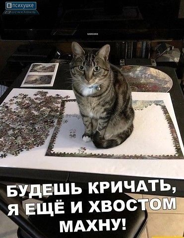 БУДЕШЬ КРИЧАТЬ, Я ЕЩЁ И ХВОСТОМ МАХНУ!
