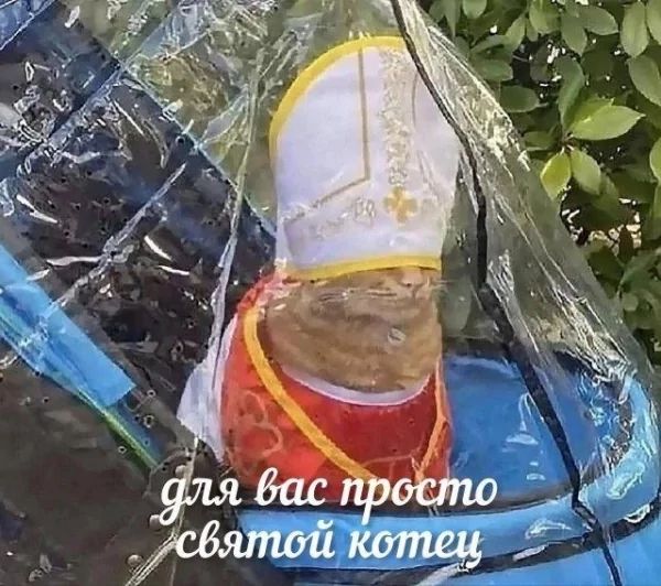 для вас просто святой котец