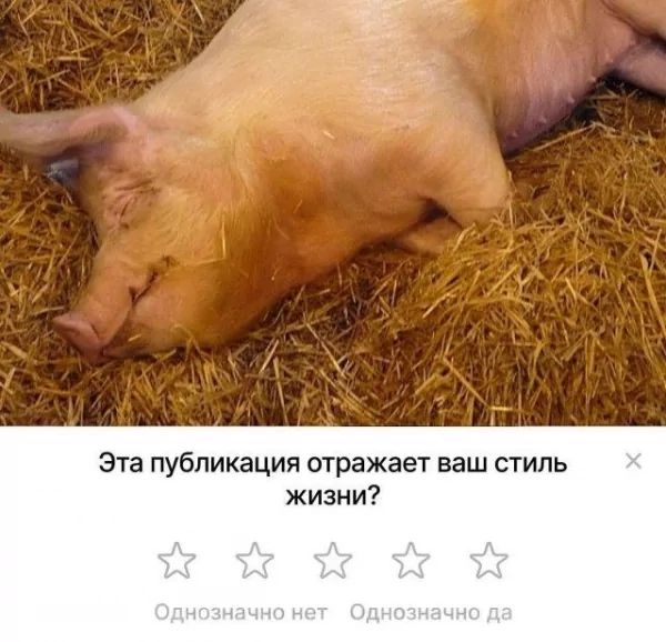Эта публикация отражает ваш стиль жизни? Однозначно нет Однозначно да
