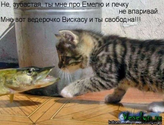 Не, зубастая, ты мне про Емелю и печку не впаривай. Мне вот ведерочко Вискасу и ты свободна!!!