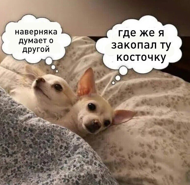 наверняка думает о другой
где же я закопал ту косточку