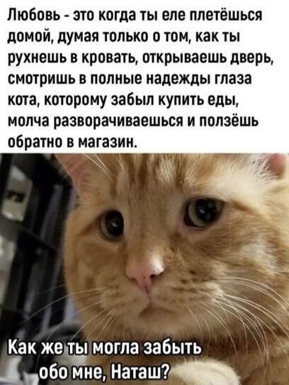 Любовь - это когда ты еле плетёшься домой, думая только о том, как ты рунешь в кровать, открываешь дверь, смотришь в полные надежды глаза кота, которому забыл купить еды, молча разочаровываешься и ползёшь обратно в магазин.

Как же ты могла забыть обо мне, Наташ?