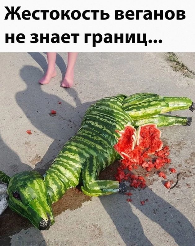 Жестокость веганов не знает границ...