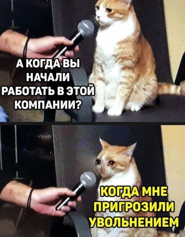 А когда вы начали работать в этой компании?
Когда мне пригрозили увольнением.