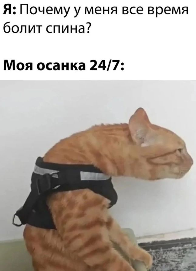 Я: Почему у меня все время болит спина?
Моя осанка 24/7: