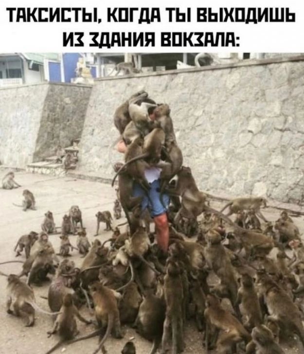Таксисты, когда ты выходишь из здания вокзала: